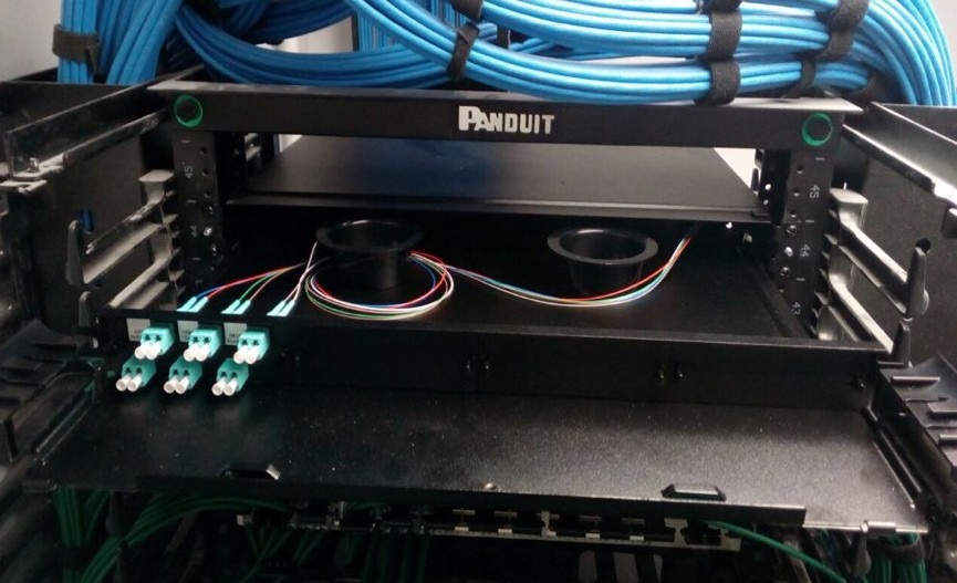 Organización de fibra óptica